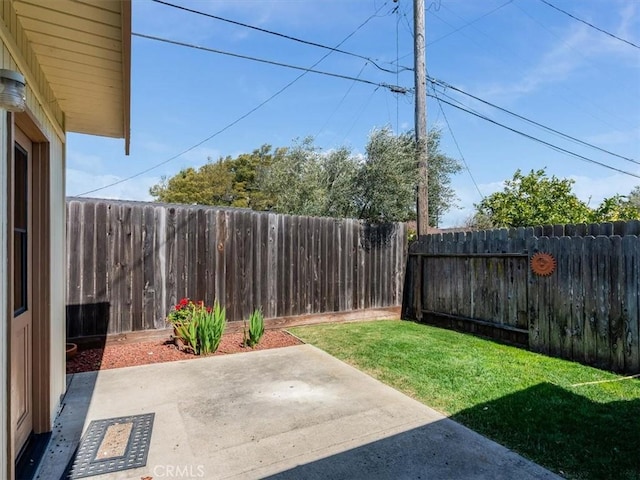 view of yard with a fenced backyard and a patio area