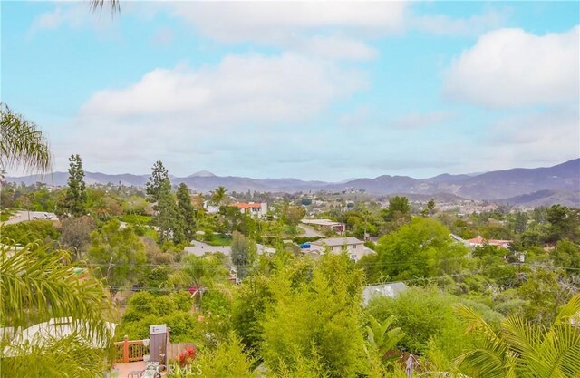 10549 Queen Ave, La Mesa, CA 91941 - photo 35