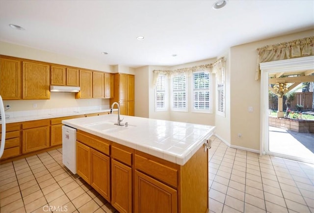 391 Camino Carta, San Marcos, CA 92078 - kitchen with a wealth of natural light, under cabinet range hood, white dishwasher, and a sink