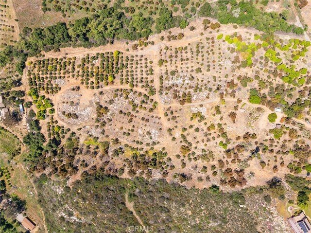 0 Las Palmeras Dr, Temecula, CA 92590