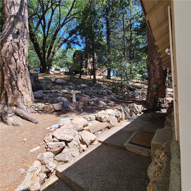 31662 Panorama Dr, Running Springs, CA 92382 - view of yard
