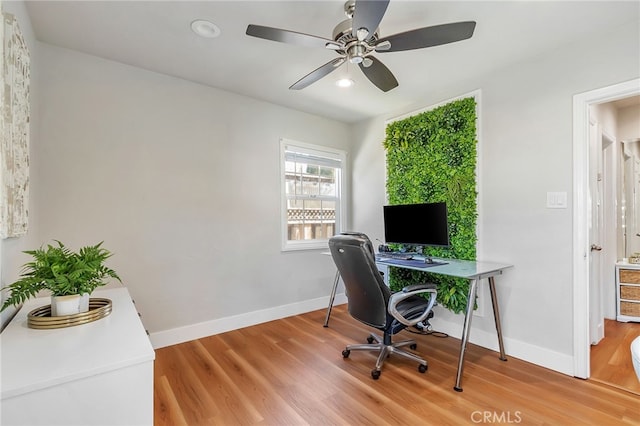 1012 S 11th St, San Jose, CA 95112 - office space featuring light wood-type flooring, baseboards, ceiling fan, and recessed lighting