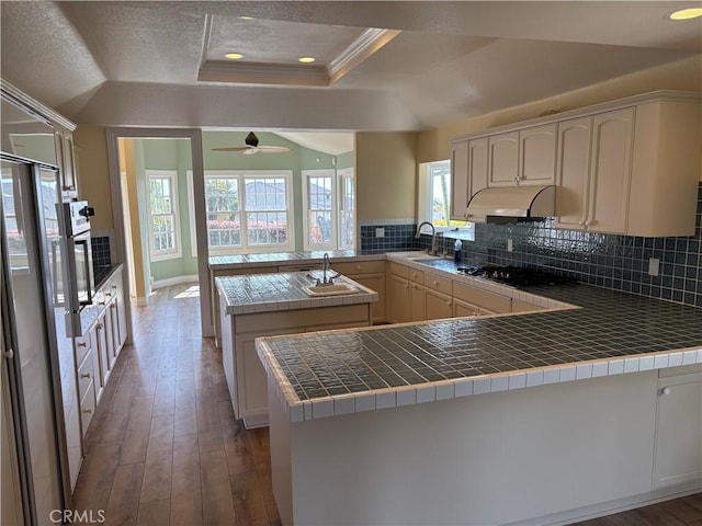 kitchen featuring a sink, decorative backsplash, a raised ceiling, a peninsula, and under cabinet range hood