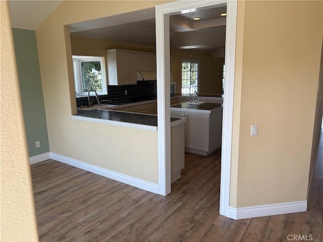 kitchen featuring white cabinets, decorative backsplash, wood finished floors, and a sink