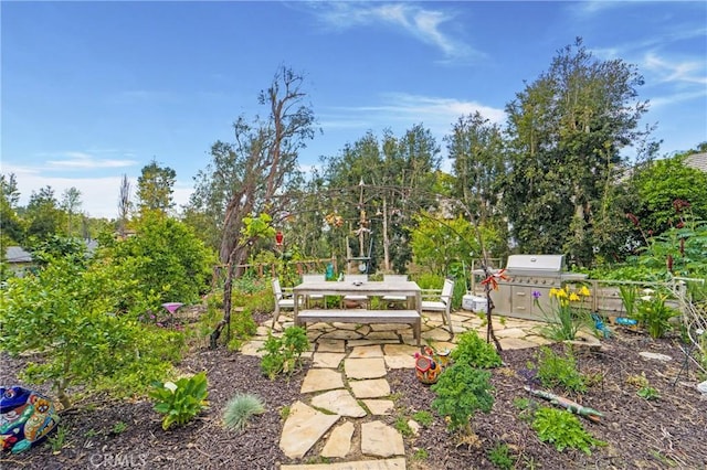 view of yard featuring a patio