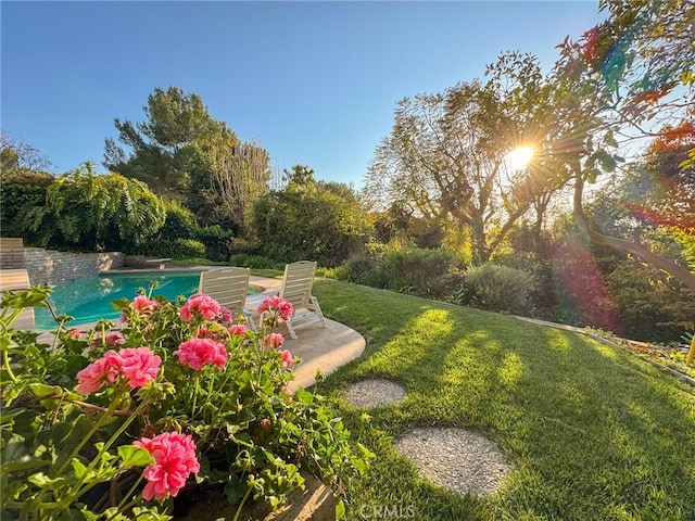 view of property's community with a lawn and a pool
