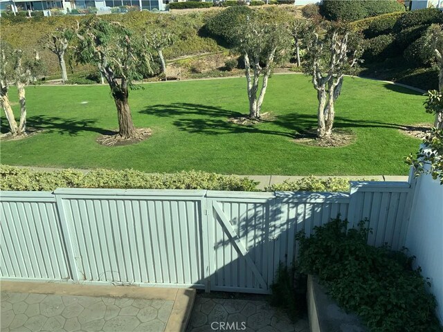 33922 Manta Ct, Dana Point, CA 92629 - view of yard featuring fence