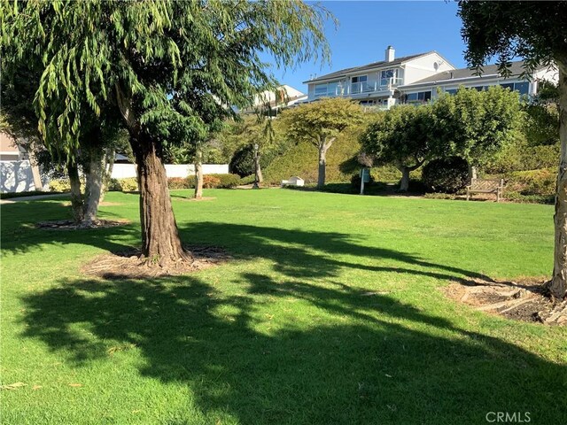 33922 Manta Ct, Dana Point, CA 92629 - view of yard