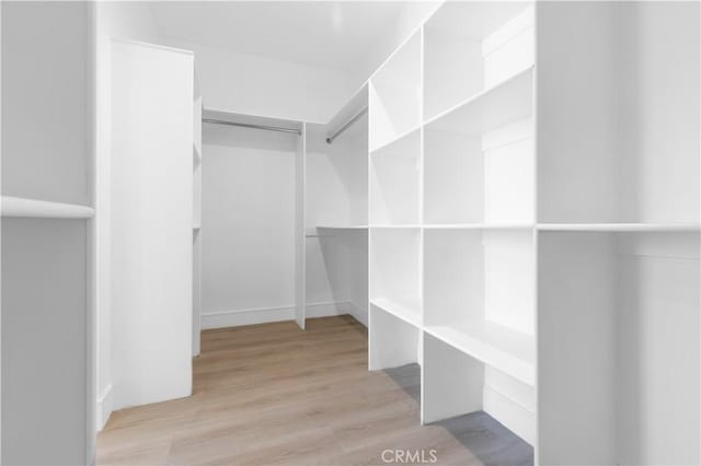 spacious closet featuring wood finished floors