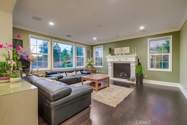 living room featuring plenty of natural light, dark wood-type flooring, a fireplace with raised hearth, and ornamental molding