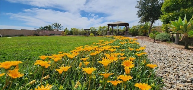 view of home's community with a gazebo and a yard