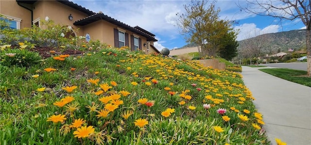 exterior space with a mountain view