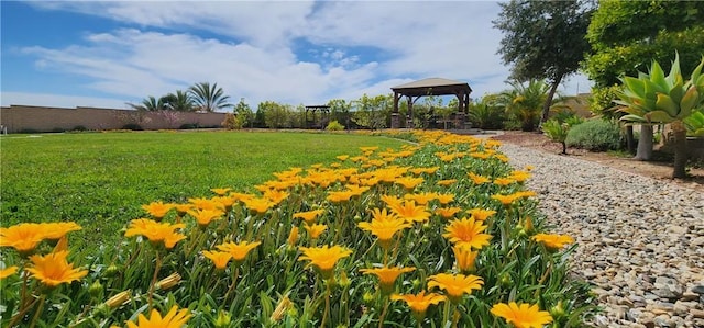 view of property's community with a gazebo and a yard