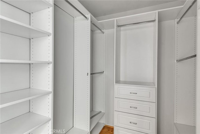 view of spacious closet