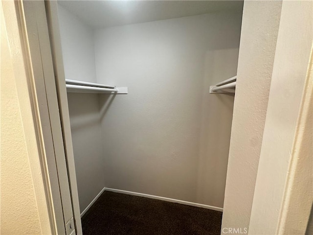 spacious closet featuring dark colored carpet