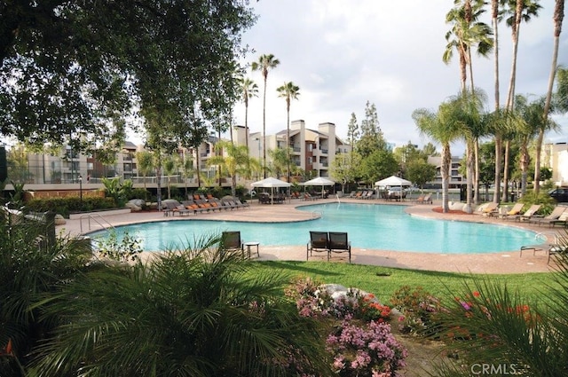 pool with a patio