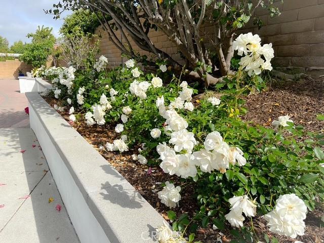 960 S Joliet Cir, Anaheim Hills, CA 92807 - exterior view of fence