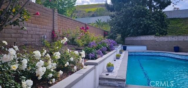 960 S Joliet Cir, Anaheim Hills, CA 92807 - view of swimming pool with a fenced backyard