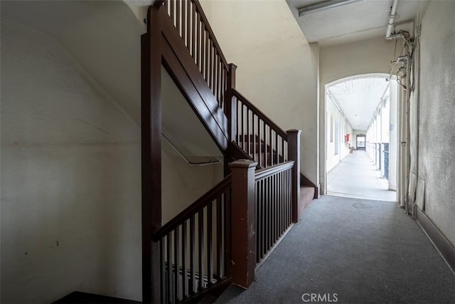 staircase with carpet flooring