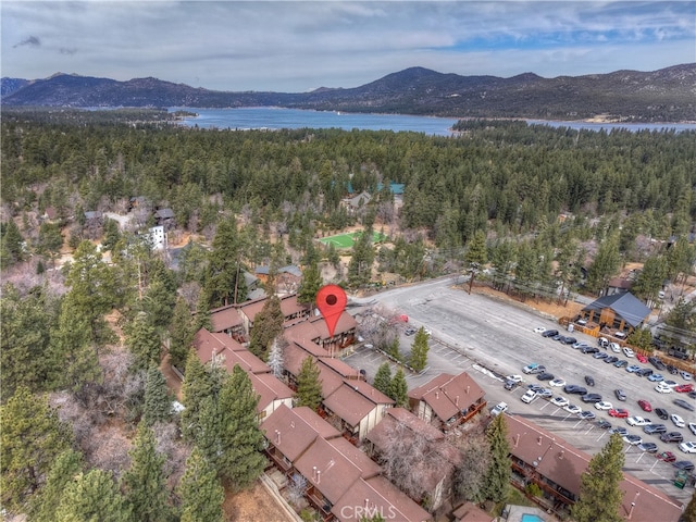 861 Thrush Dr Unit 14, Big Bear Lake, CA 92315 - photo 5