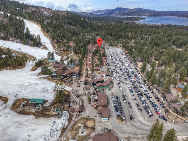 861 Thrush Dr Unit 14, Big Bear Lake, CA 92315 - photo 34
