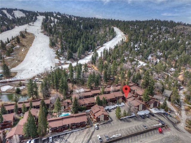 861 Thrush Dr Unit 14, Big Bear Lake, CA 92315 - photo 33