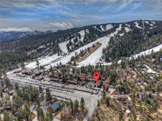 861 Thrush Dr Unit 14, Big Bear Lake, CA 92315 - photo 3