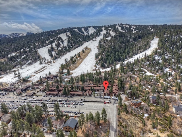 861 Thrush Dr Unit 14, Big Bear Lake, CA 92315 - photo 4