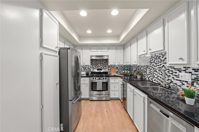 kitchen featuring a sink, a raised ceiling, light wood finished floors, white cabinetry, and appliances with stainless steel finishes