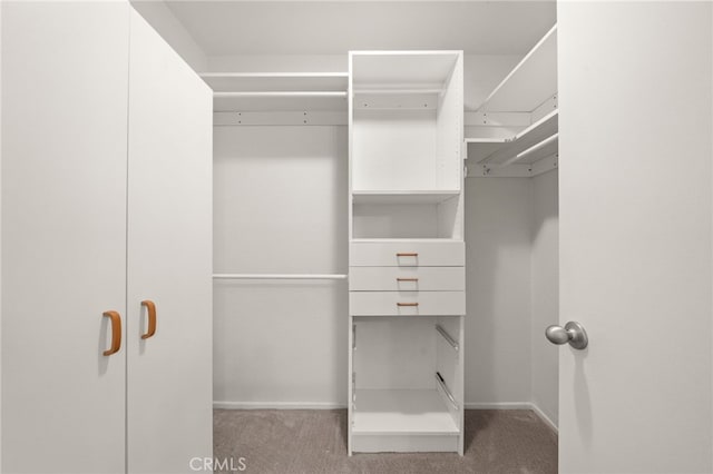 spacious closet with carpet floors