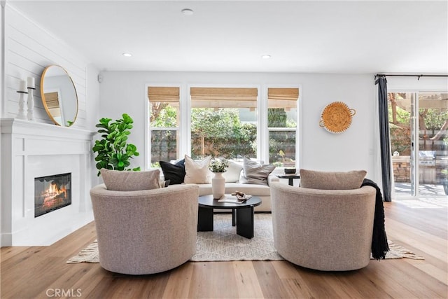 living area with a glass covered fireplace, plenty of natural light, and wood finished floors