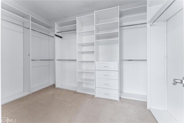 walk in closet with light carpet