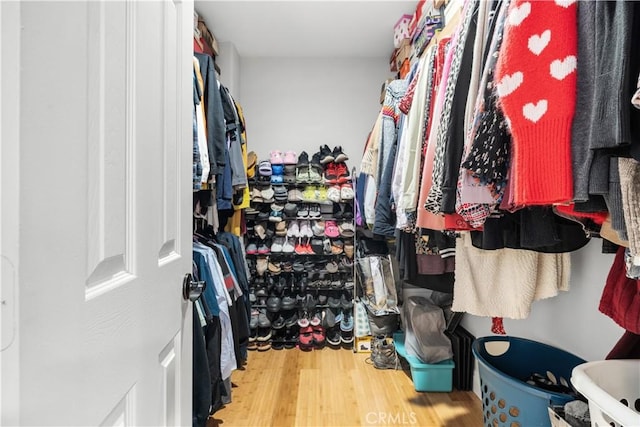 spacious closet with wood finished floors