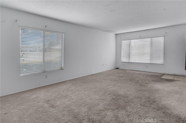 empty room with a textured ceiling, carpet, and plenty of natural light