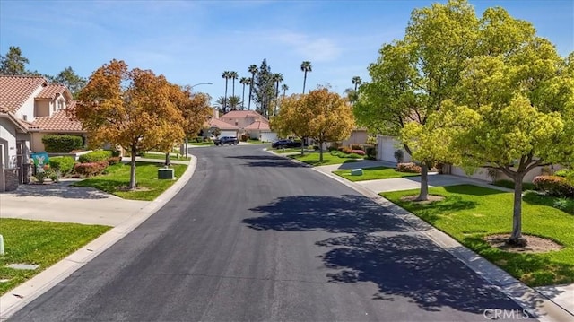 40636 Via Jalapa, Murrieta, CA 92562 - view of street with street lights, a residential view, and curbs