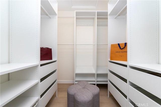 9038 Whitaker Ave, Northridge, CA 91343 - walk in closet featuring light wood-style flooring