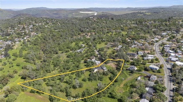 11 Myrtle Dr, Oroville, CA 95966 - photo 50