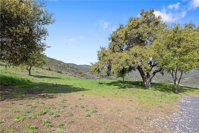 view of yard featuring a mountain view