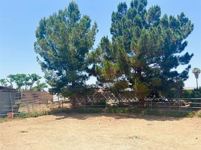 5829 Aurora Ave, Jurupa Valley, CA 91752 - view of yard