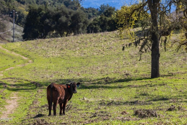 0 Long Valley Rd, Santa Ynez, CA 93460 - photo 7