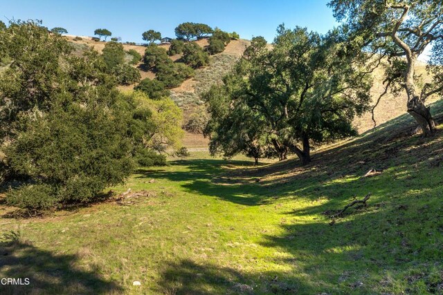 0 Long Valley Rd, Santa Ynez, CA 93460 - photo 6