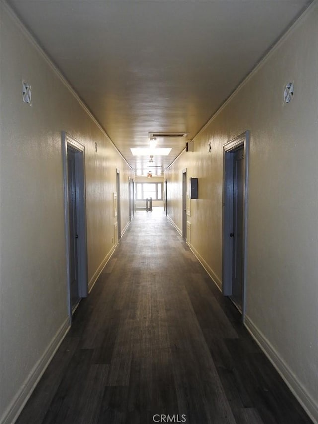 5510 Lexington Ave, Los Angeles, CA 90038 - corridor with ornamental molding, dark wood-type flooring, and baseboards