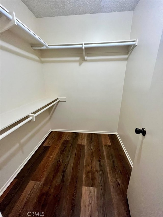 spacious closet featuring wood finished floors
