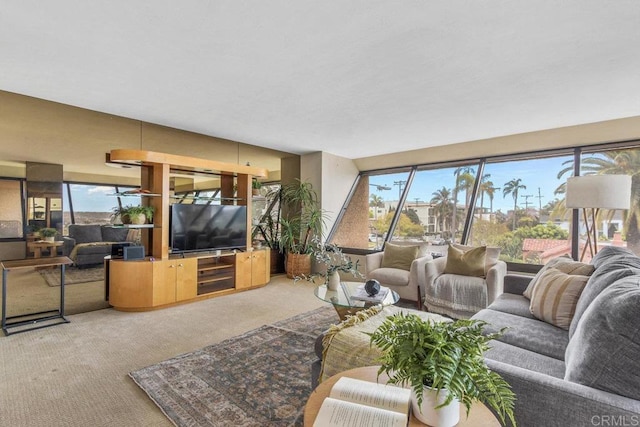230 W Laurel St Unit 506, San Diego, CA 92101 - view of carpeted living room