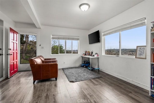 living area with baseboards and wood finished floors