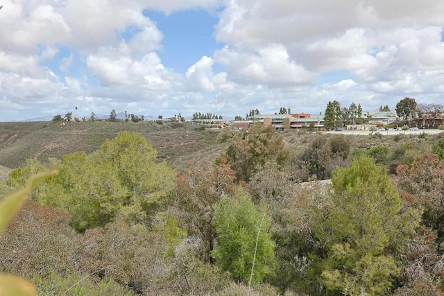 view of local wilderness