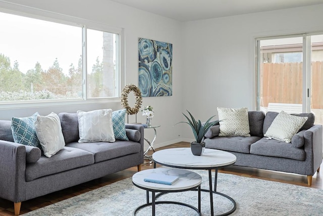 living room featuring baseboards, wood finished floors, and a wealth of natural light