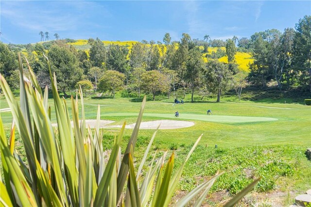 13 Plaza Baja Del Sol, San Juan Capistrano, CA 92675 - photo 44