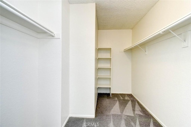 spacious closet with carpet floors
