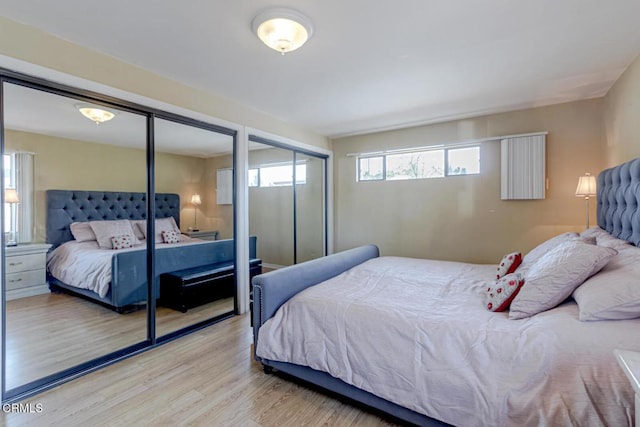 bedroom featuring multiple closets and wood finished floors